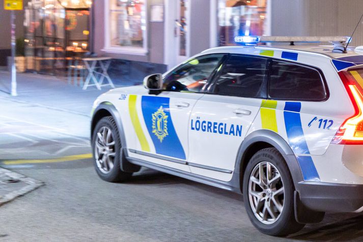 Lögreglan á höfuðborgarsvæðinu hafði í nógu að snúast í nótt.